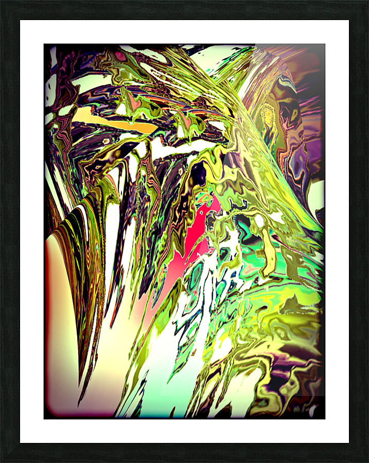 Plidus Picture Frame print