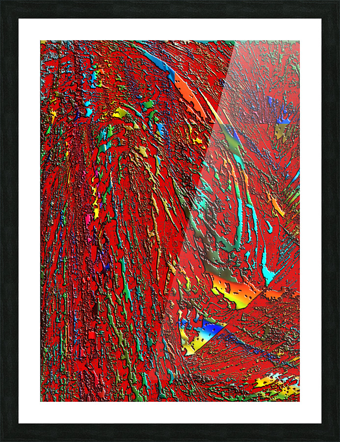 Roptali Picture Frame print