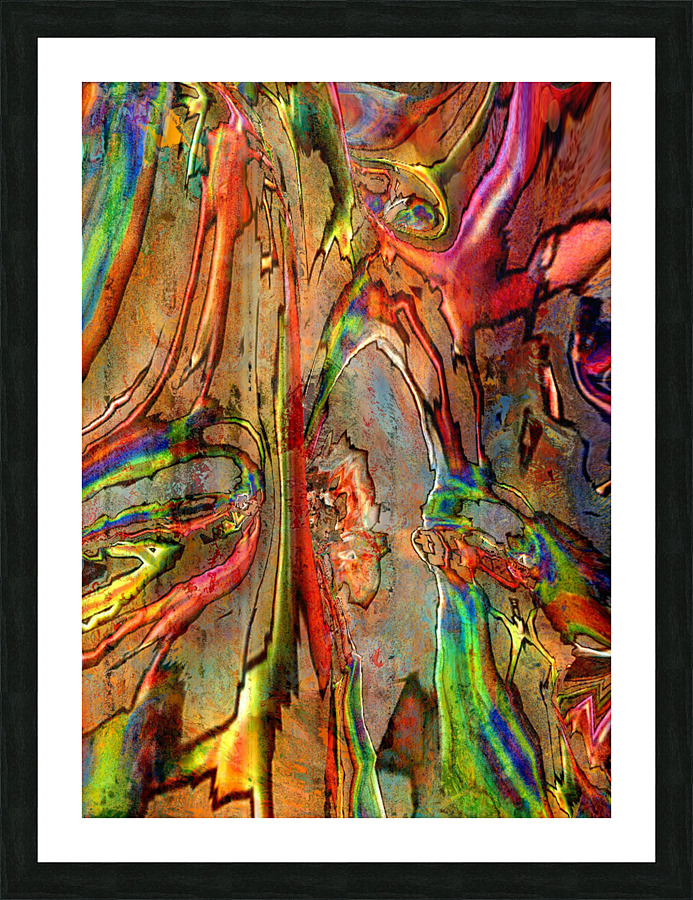 Herdios Picture Frame print