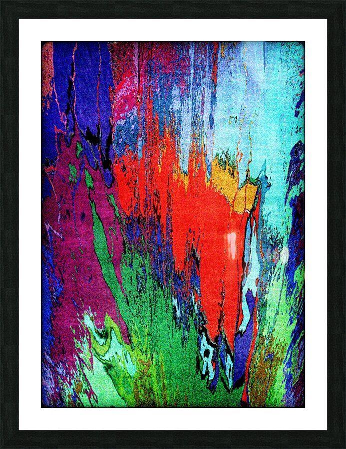 Diddwo Picture Frame print