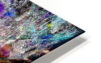 Maidaloo HD Metal print