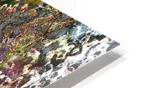Plintonia HD Metal print