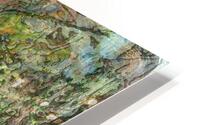 Appolia HD Metal print