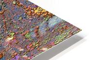 Bartomis HD Metal print
