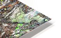 Bontira HD Metal print