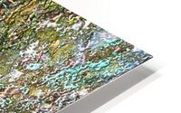 quandiras HD Metal print