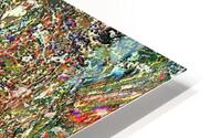 Plimma HD Metal print