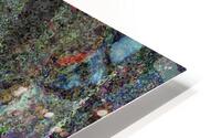 Blattimo HD Metal print