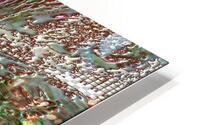 Trilloba HD Metal print