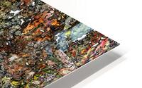 Bortwis HD Metal print