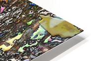 Boidalo HD Metal print