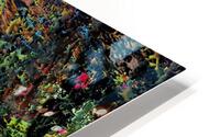 Blinkado HD Metal print