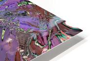 Flailia HD Metal print