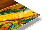 Merrios HD Metal print