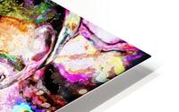 Oinkee HD Metal print