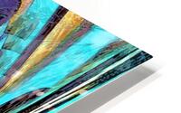 Boomi HD Metal print