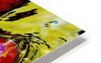 Zorn HD Metal print