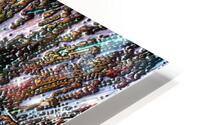 Poctali HD Metal print