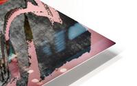 The given path HD Metal print