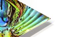 Damdara HD Metal print