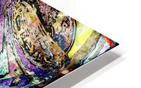 Plaidus HD Metal print