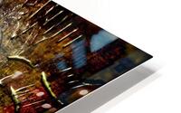 Dreydaloo HD Metal print