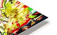 Malibu HD Metal print