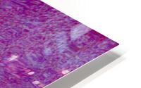 Vinala HD Metal print