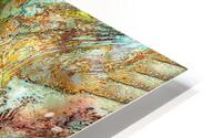 Mira HD Metal print