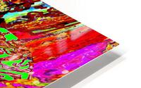 Baudi HD Metal print