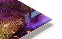 Baidra HD Metal print