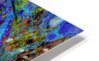 Prollis HD Metal print