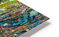Bloosi HD Metal print