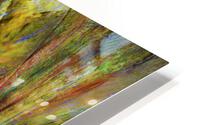 Balldila HD Metal print