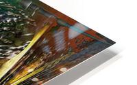 Troxali HD Metal print