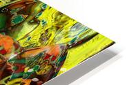 Carniva HD Metal print