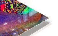 Visoof HD Metal print
