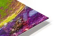 Loria HD Metal print