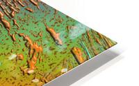 Dindili HD Metal print