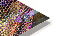 Net worth HD Metal print