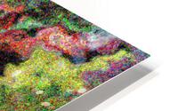Birma HD Metal print