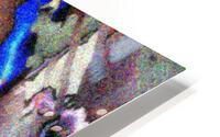 Foidalo HD Metal print