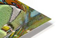 Dermano HD Metal print