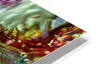 Isidor HD Metal print