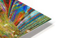 Dirsha HD Metal print