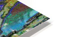 Troptis HD Metal print