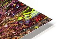 Moniga HD Metal print