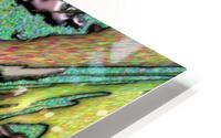 Vallia HD Metal print