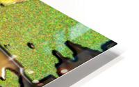 Kwartia HD Metal print