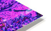 Deep Purple HD Metal print